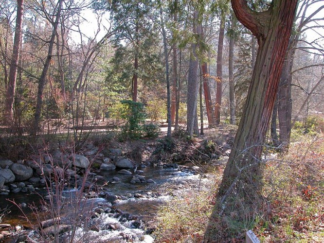 800px-Demi-Lithia-Park-Ashland-Creek-20050305